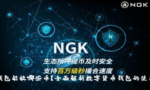 比特币钱包能放哪些币?全面解析数字货币钱包的使用与管理