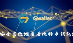 如何安全高效地查看比特币钱包地址?