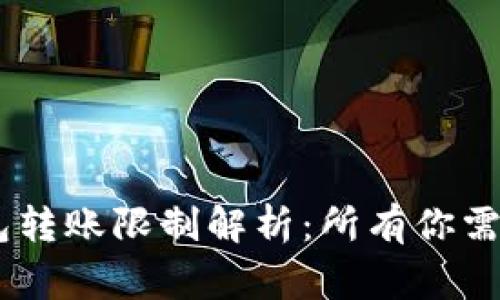 USDT个人数字钱包转账限制解析：所有你需要知道的注意事项