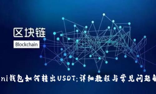 Omni钱包如何转出USDT：详细教程与常见问题解答