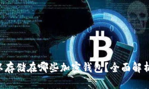 FDT可以存储在哪些加密钱包?全面解析与推荐