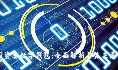 国资委数字钱包:全面解析与未来展望