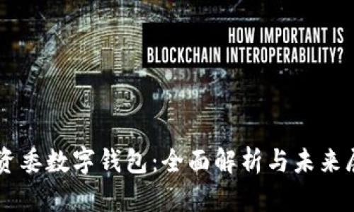 国资委数字钱包:全面解析与未来展望