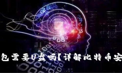 : 比特币钱包需要U盘吗？详解比特币安全存储方式