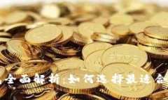 以太坊存储钱包全面解析：如何选择最适合你的