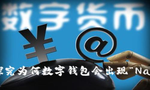 数字钱包里的NaN:探究为何数字钱包会出现“NaN”状态及其解决方法
