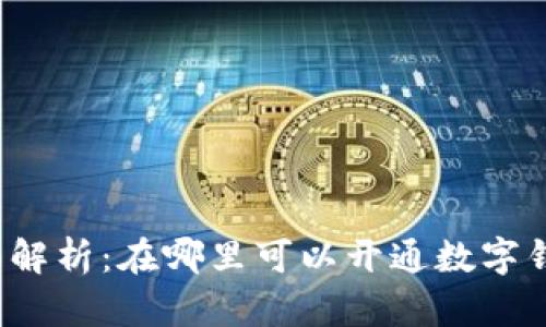 全面解析:在哪里可以开通数字钱包?