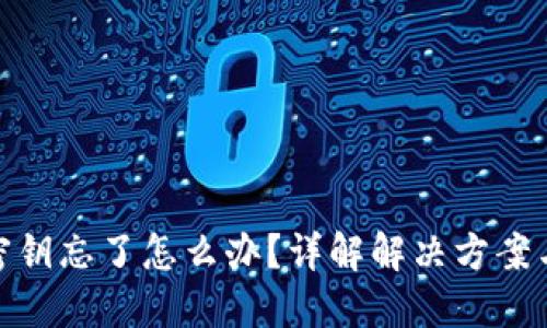 数字钱包密钥忘了怎么办?详解解决方案与预防措施