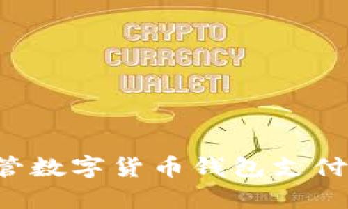 如何有效监管数字货币钱包支付:方法与挑战