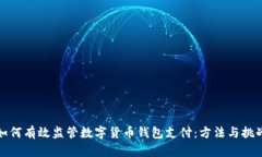 如何有效监管数字货币钱包支付:方法与挑战