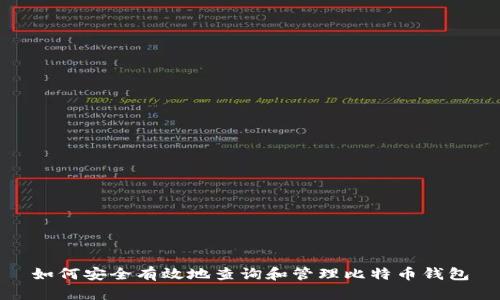 如何安全有效地查询和管理比特币钱包