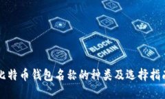 比特币钱包名称的种类及选择指南