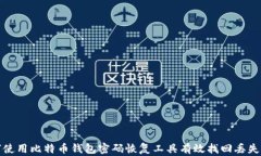 如何使用比特币钱包密码恢复工具有效找回丢失