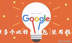 如何有效管理多个比特币钱包:使用指南与最佳