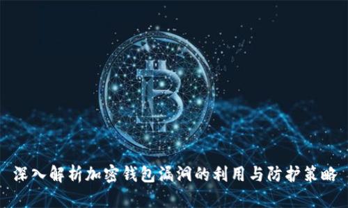 深入解析加密钱包漏洞的利用与防护策略