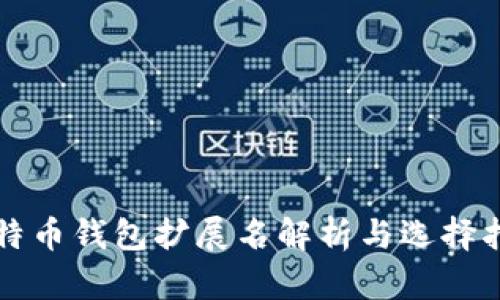 比特币钱包扩展名解析与选择指南