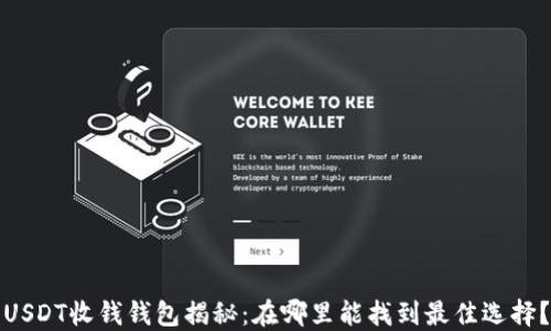 
USDT收钱钱包揭秘：在哪里能找到最佳选择？
