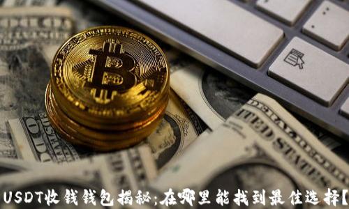 
USDT收钱钱包揭秘：在哪里能找到最佳选择？