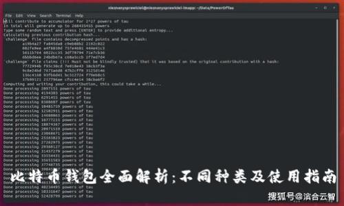 比特币钱包全面解析:不同种类及使用指南