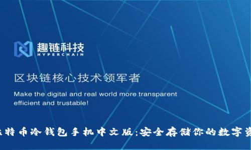  比特币冷钱包手机中文版：安全存储你的数字资产