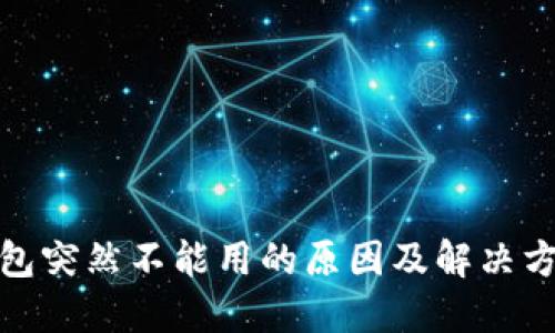 数字钱包突然不能用的原因及解决方案详解