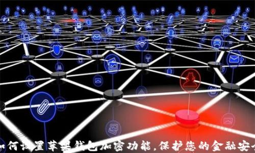 如何设置苹果钱包加密功能,保护您的金融安全