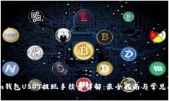 Token.im钱包USDT提现手续费详解：最全指南与常见