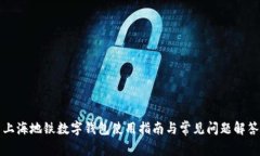 上海地铁数字钱包使用指南与常见问题解答