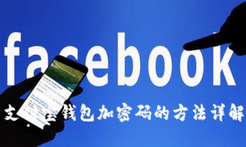支付宝钱包加密码的方法详解