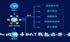 如何导入比特币DAT钱包文件：全面指南