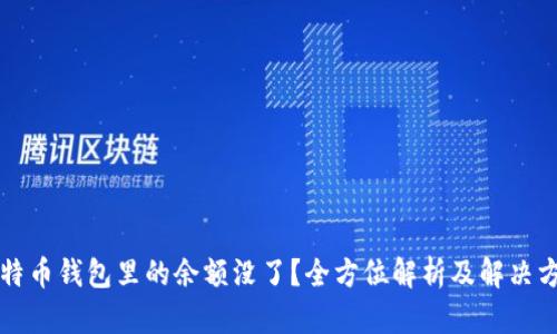 比特币钱包里的余额没了?全方位解析及解决方案