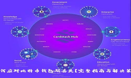 如何应对比特币钱包码丢失？完整指南与解决策略