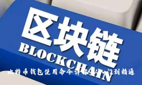 比特币钱包使用命令详解:从入门到精通