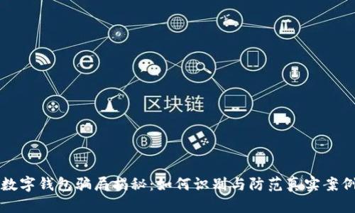 钓鱼数字钱包骗局揭秘：如何识别与防范真实案例分析