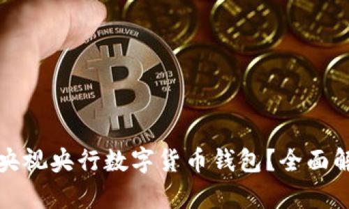 如何安全使用央视央行数字货币钱包?全面解析与实用技巧