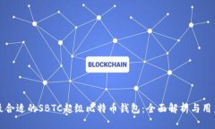 如何选择最合适的SBTC超级比特币钱包：全面解析