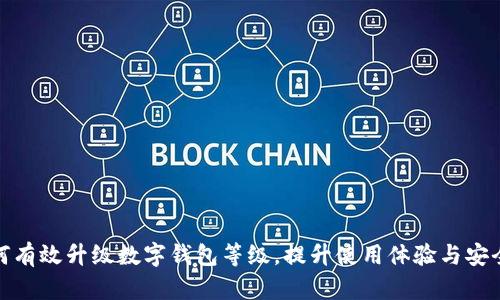 如何有效升级数字钱包等级，提升使用体验与安全性