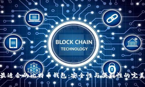 选择最适合的比特币钱包:安全性与便利性的完美平衡