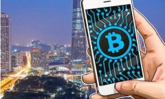 如何高效导入比特币核心钱包：完整指南与技巧