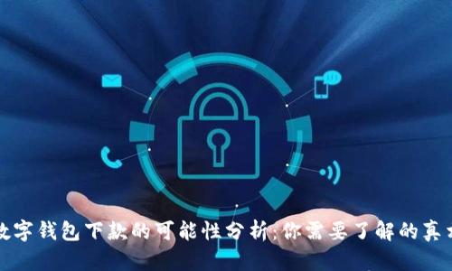 数字钱包下款的可能性分析：你需要了解的真相