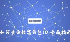 如何查询数字钱包ID:全面指南