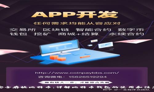 如何安全存放比特币:详解比特币钱包的使用和注意事项