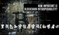 如何设置钱包加密锁屏密码?初学者必看指南