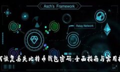 如何恢复丢失比特币钱包密码:全面指南与实用