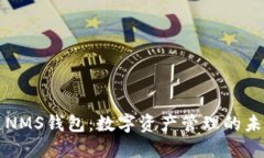 区块链NMS钱包:数字资产管理的未来选择