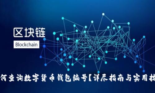 如何查询数字货币钱包编号?详尽指南与实用技巧
