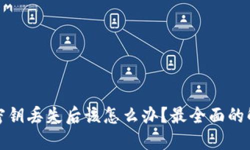 数字钱包地址密钥丢失后该怎么办？最全面的解决方案与技巧