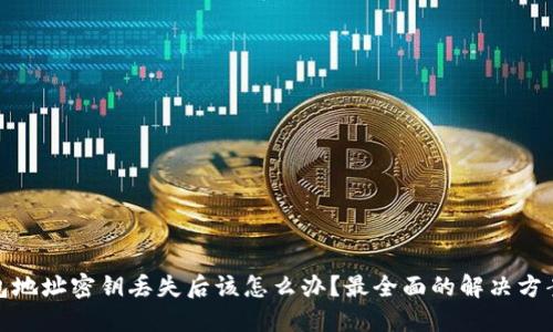 数字钱包地址密钥丢失后该怎么办？最全面的解决方案与技巧