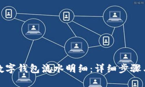 如何查询数字钱包流水明细:详细步骤与实用技巧