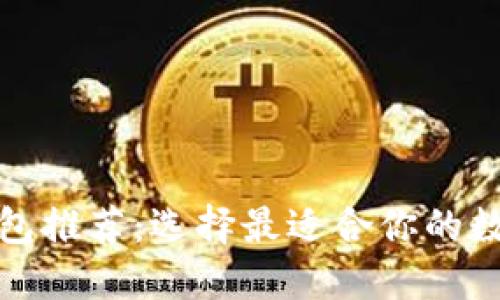 最佳数字货币钱包推荐：选择最适合你的数字资产保护工具
